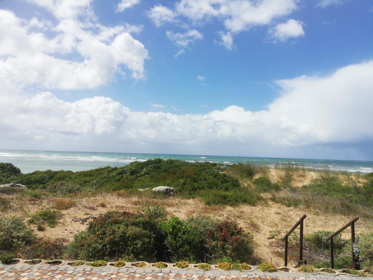 Vila Dolphin Retreat Jeffreys Bay Exteriér fotografie